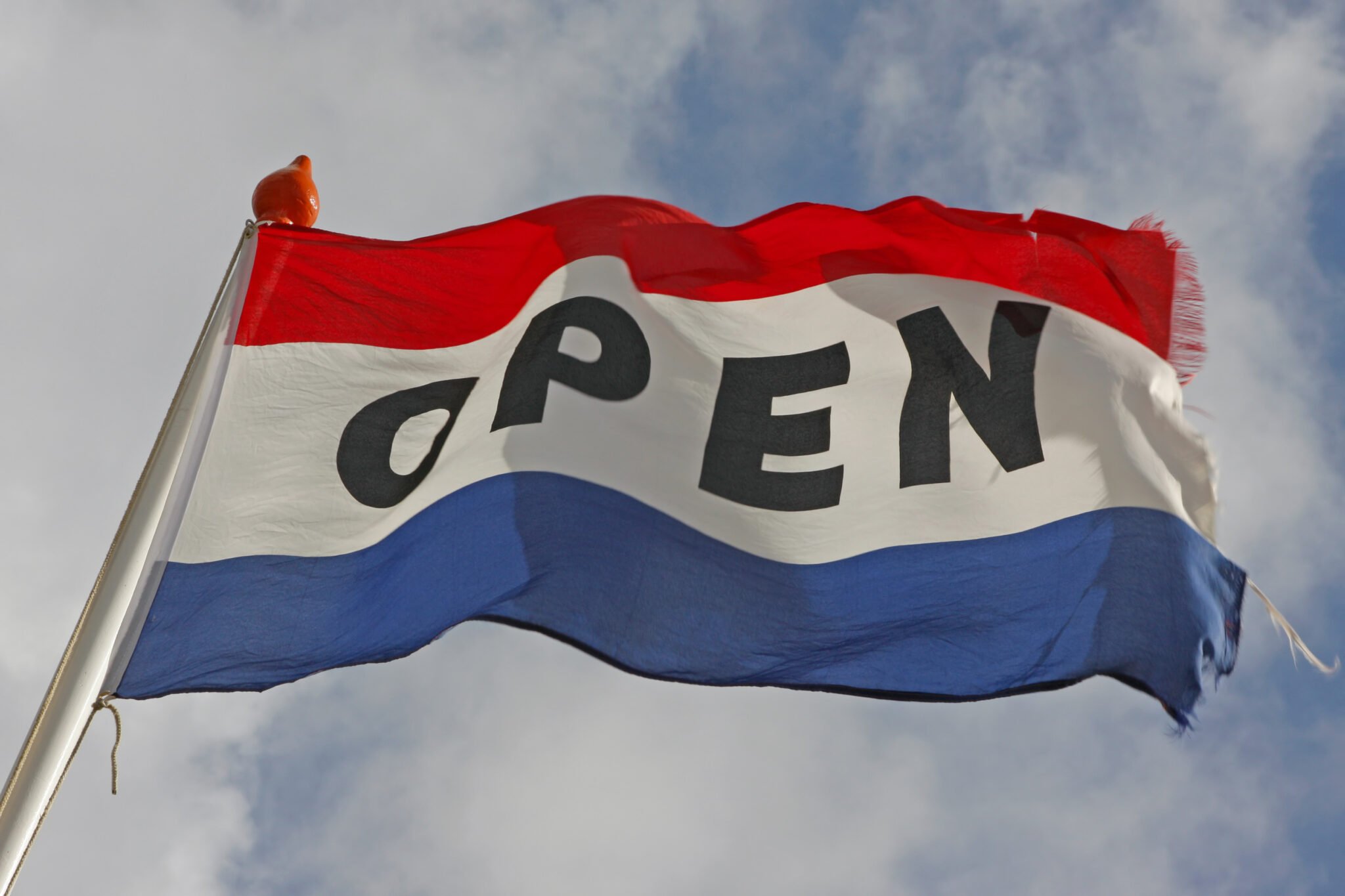 dewoocoordinator.com en woo-verzoek.com , dedocumentalist.com departcipant.com