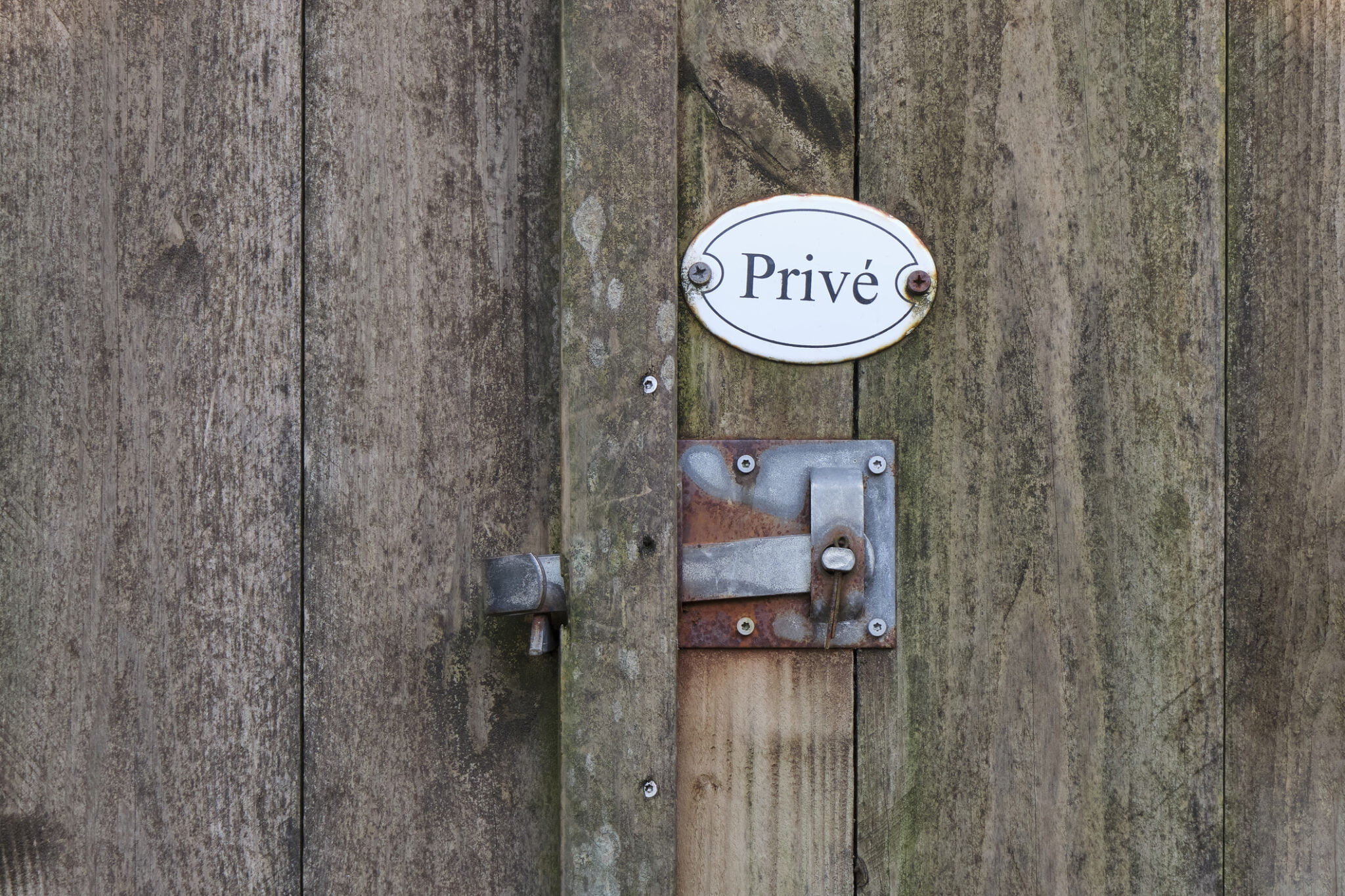 dewoocoordinator.com en woo-verzoek.com , dedocumentalist.com departcipant.com